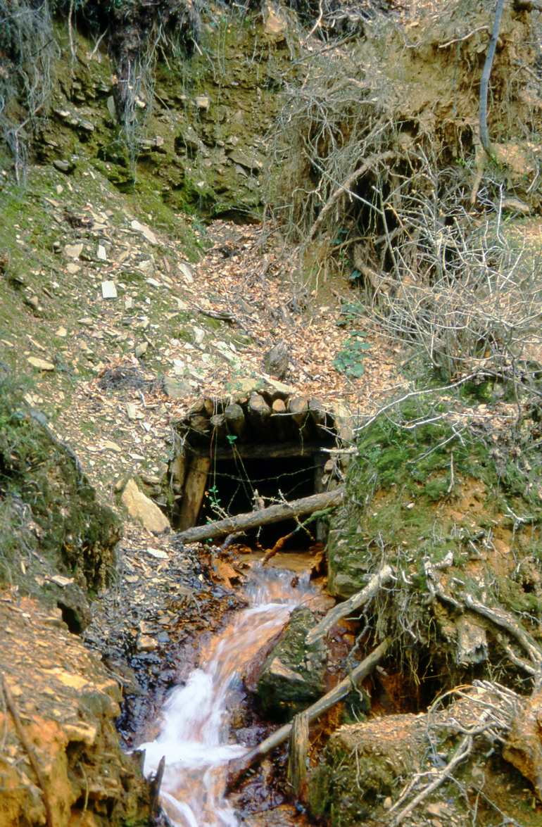 Devon Gt Consols adit outfall 1990